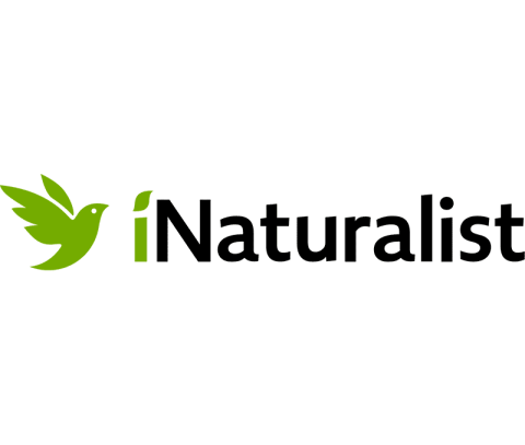 iNaturalist Logo