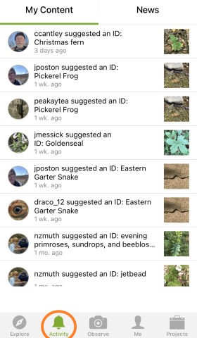 Screenshot of iNaturalist app