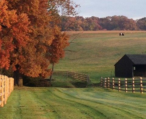 fall landscape