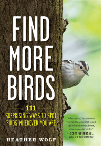 Cover of Heather Wolf's book, "Find More Birds: 111 Surprising Ways to Spot Birds Wherever You Are"