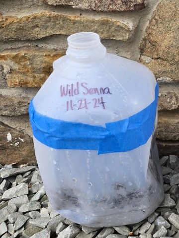 photo of an empty milk jug used to sow seeds labeled with the plant name and date