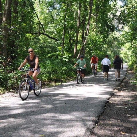 Bikers and walkers on a paved trail in the woods