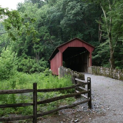 Trail in the Laurels leading into a red covered bridge