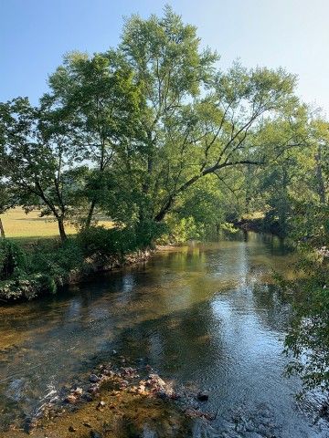 landscape with trees and water